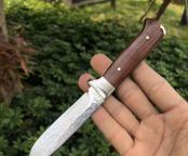 大马士革和字水果刀